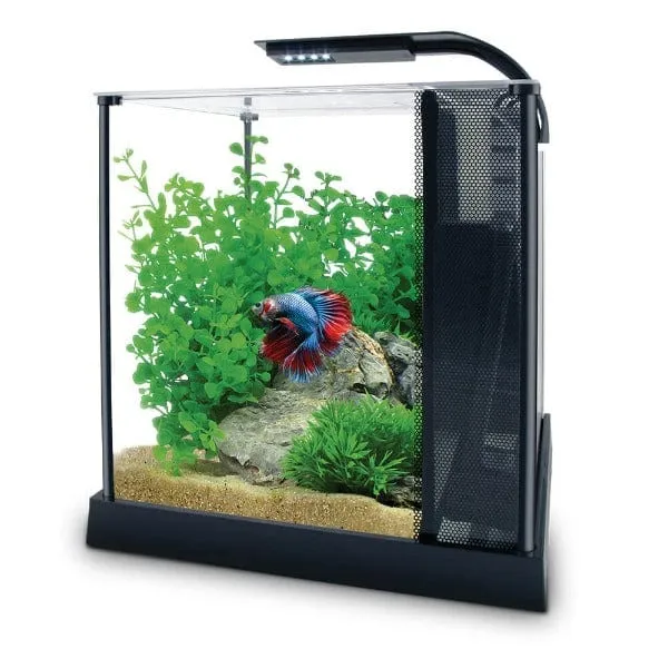 Betta Premium Aquarium Kit, 2.6 US Gal / 10 L