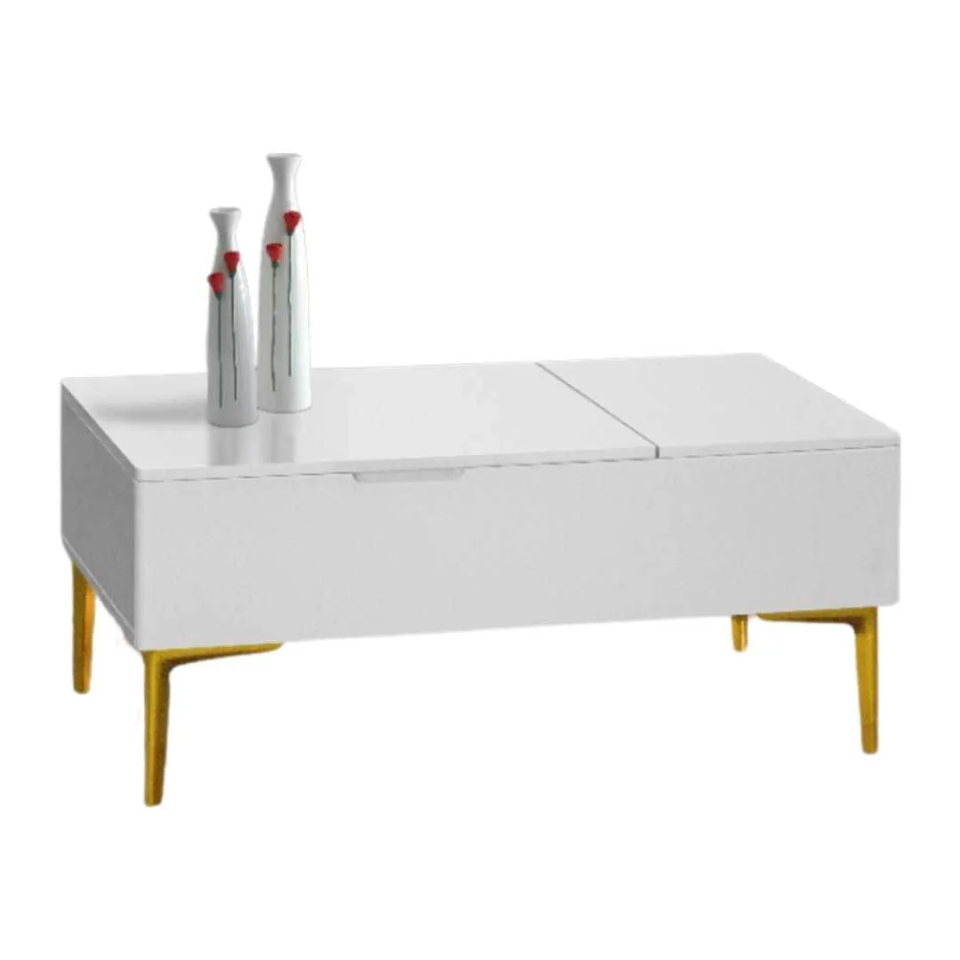 Celeste Coffee Table with Storage