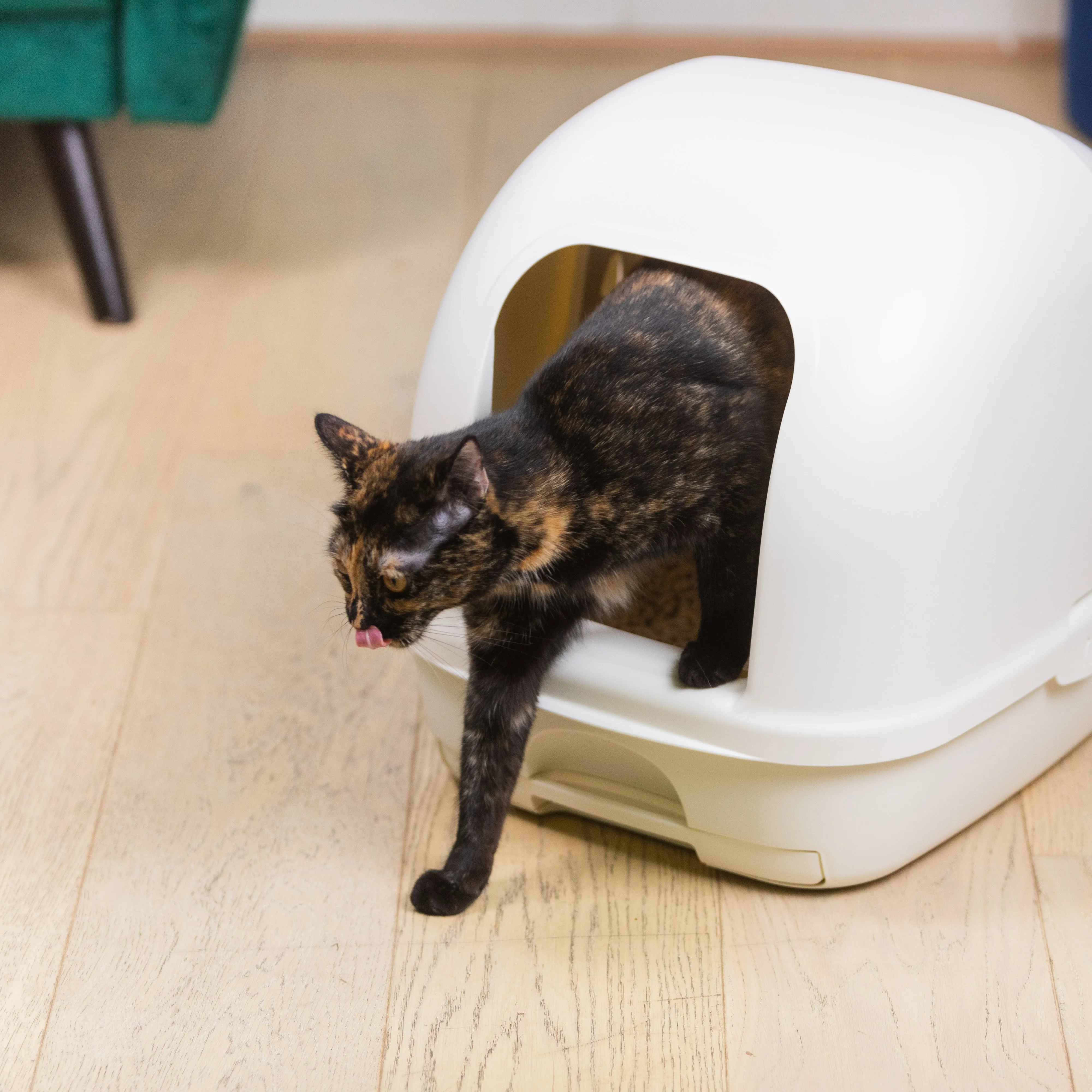 Ezi-LockOdour Dual Layer Cat Litter System Hooded Cat Litter Tray