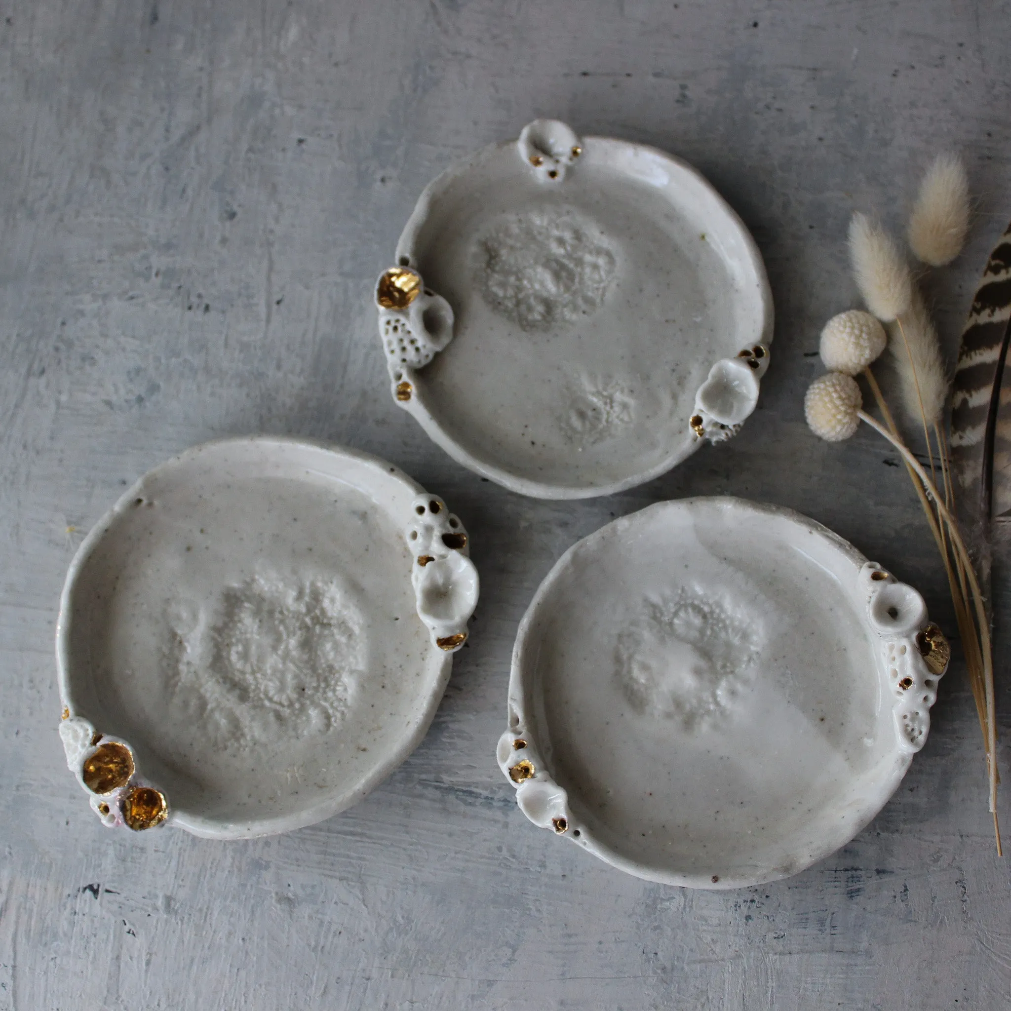 Little Rock Coral Trays