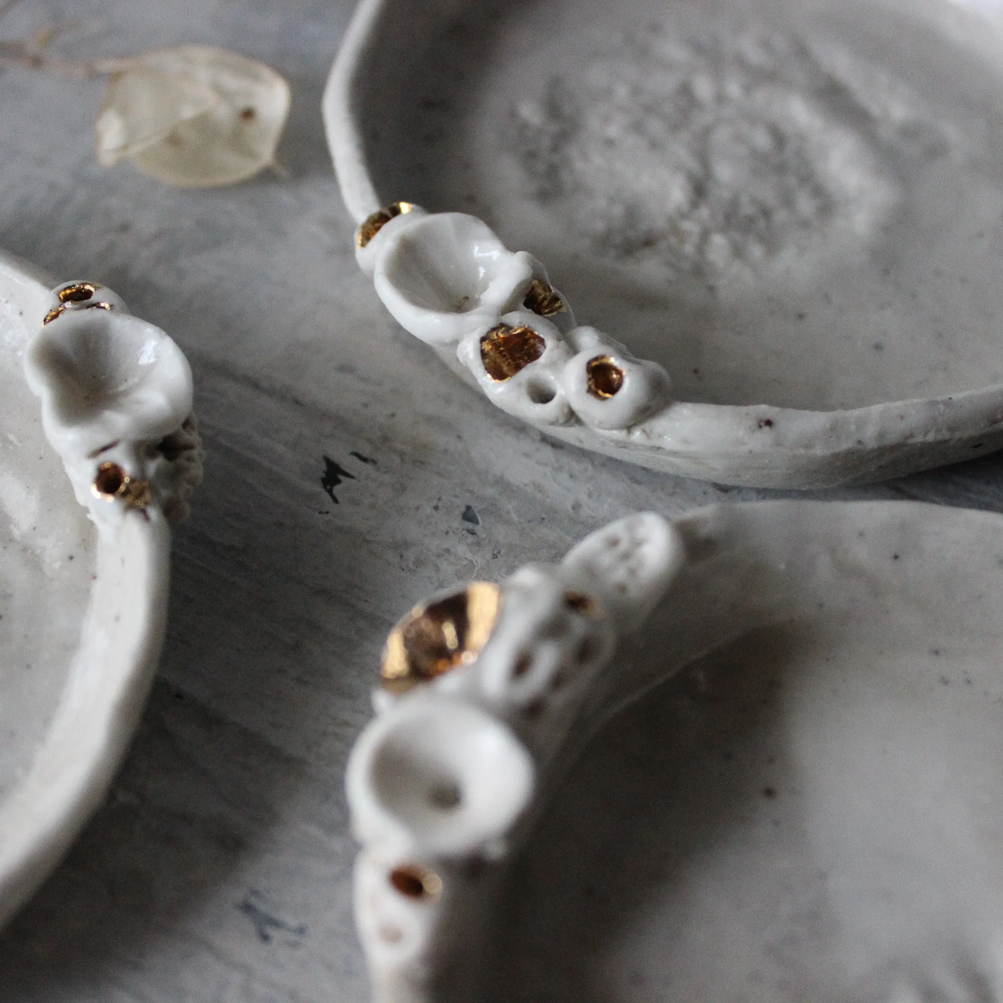 Little Rock Coral Trays