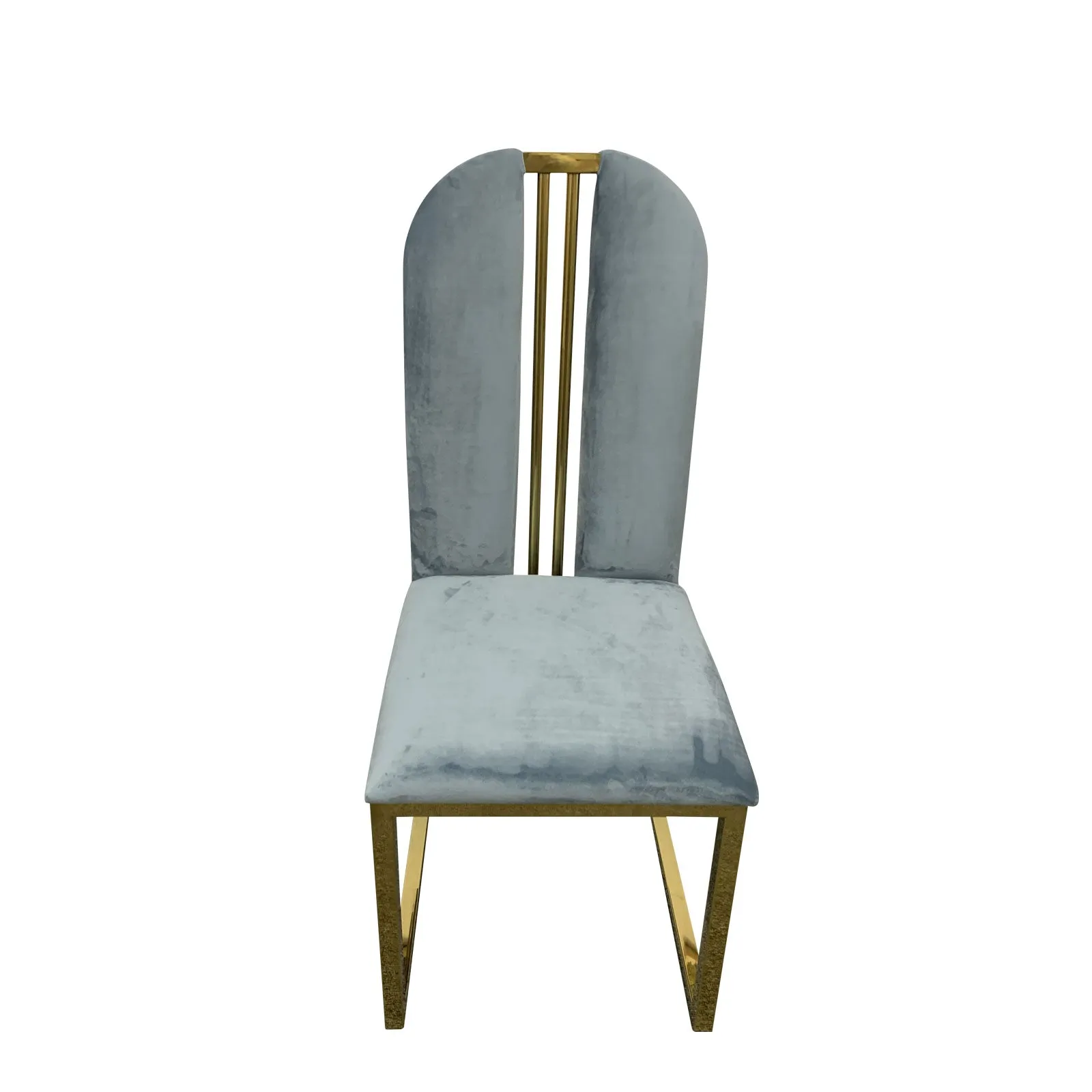 Modern Gold Frame Blue Fabric Dining Chairs Set of 2