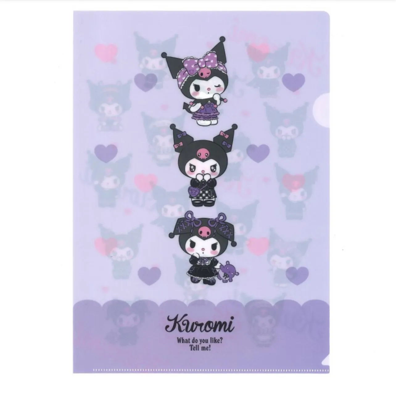 Sanrio Character A4 File Folder