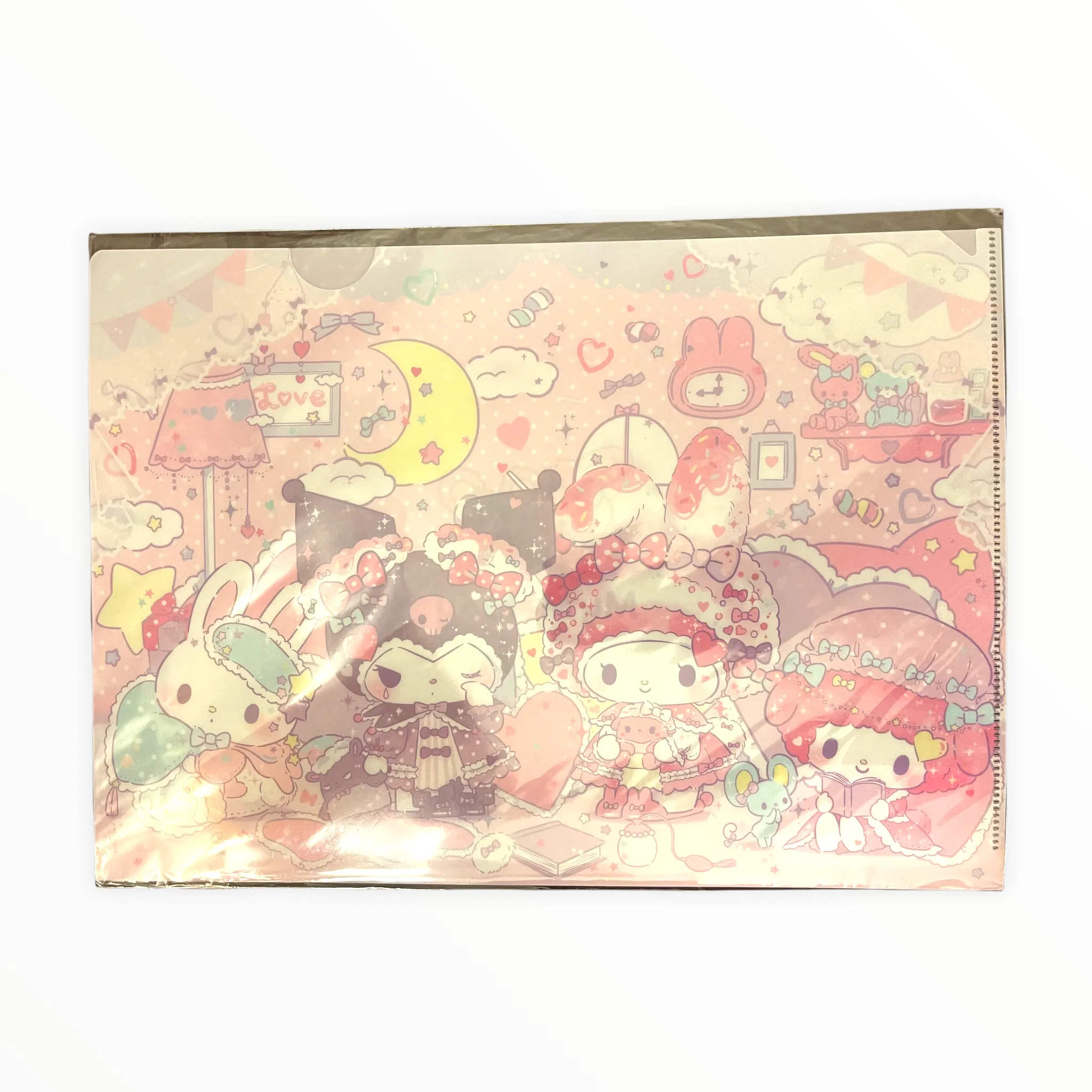 Sanrio Character A4 File Folder