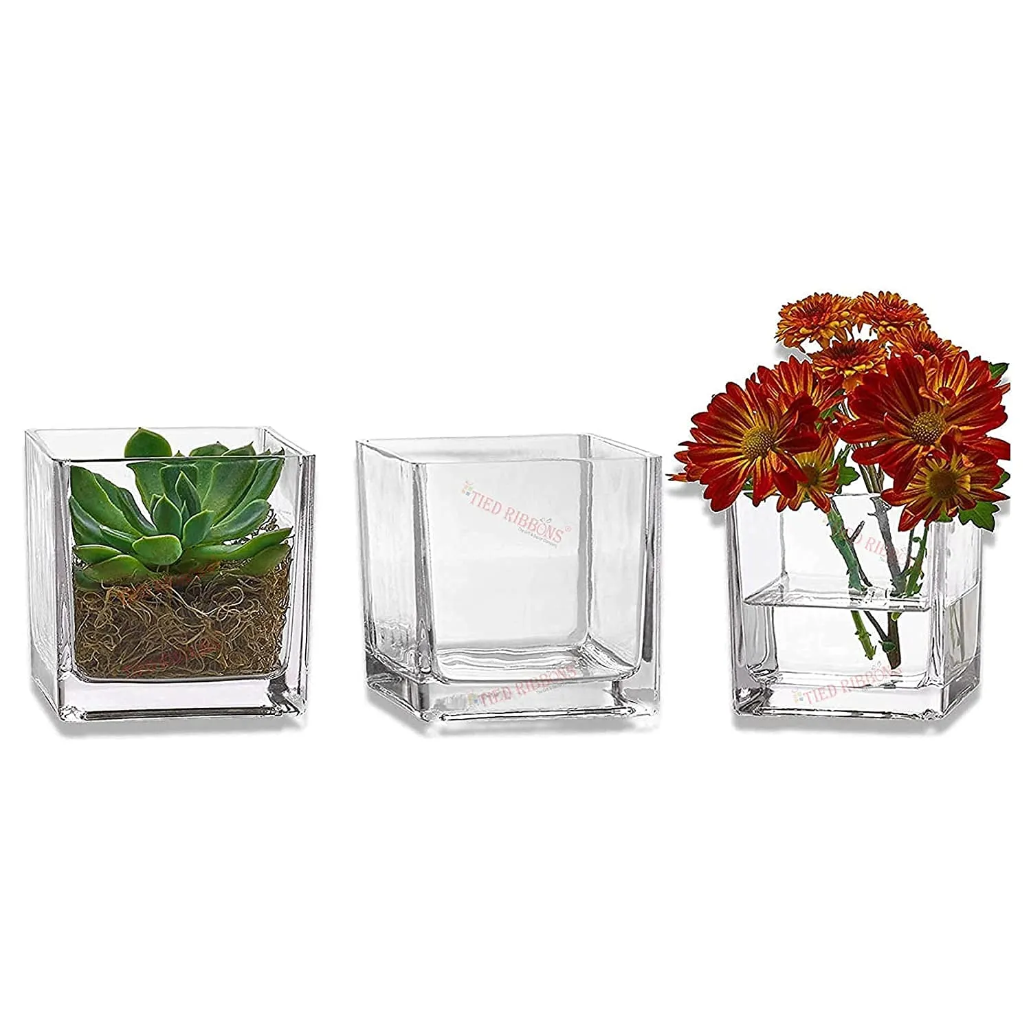 TIED RIBBONS Set of 3 Square Glass Vases for Plants Flowers Home Decor, Wedding Decoration, Without Flower (7.6 X 7.6 cm, Clear)