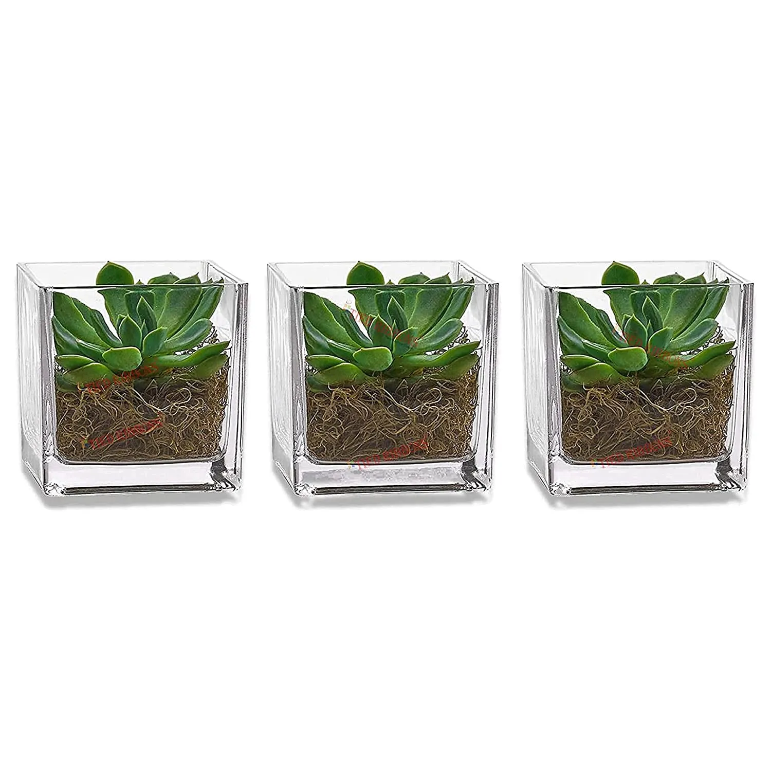 TIED RIBBONS Set of 3 Square Glass Vases for Plants Flowers Home Decor, Wedding Decoration, Without Flower (7.6 X 7.6 cm, Clear)